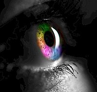 Interesting Facts About Human Eye Colors